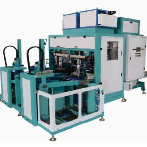 Máy đóng gói nông sản 8010